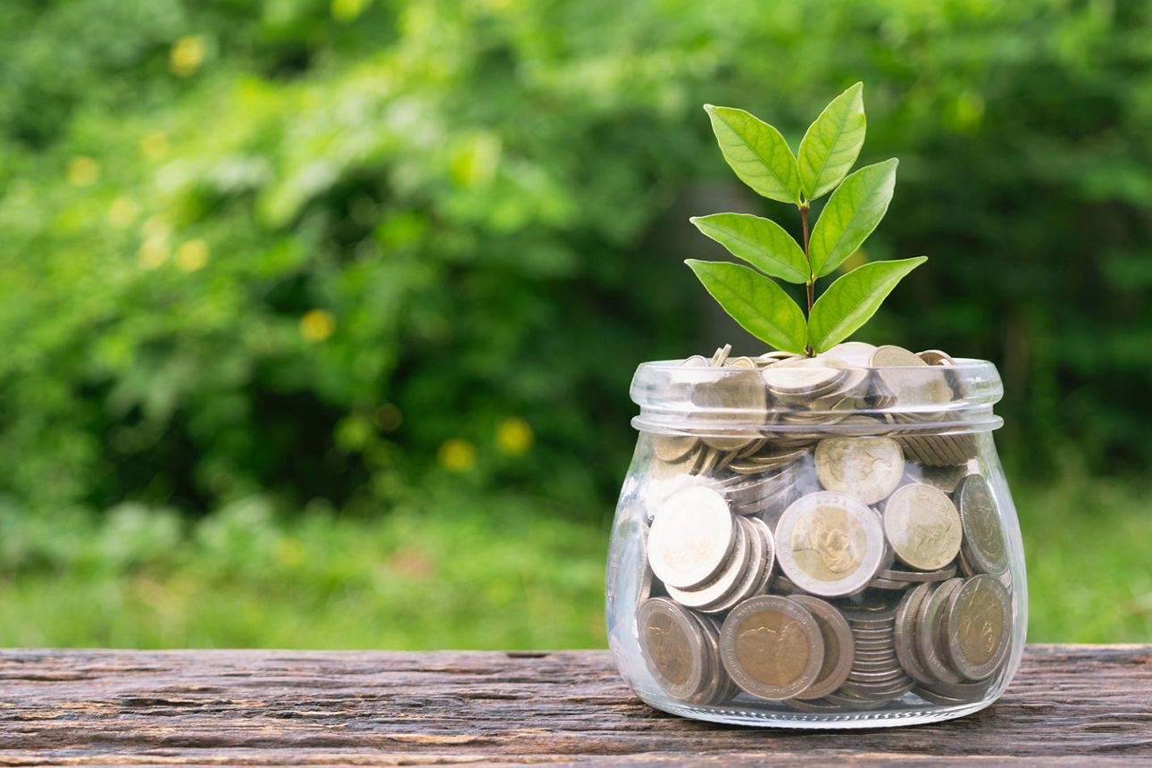 Münzen im Glas mit dem kleinen Baum oben drauf, auf einem Holztisch, vor einem grünen Parkhintergrund