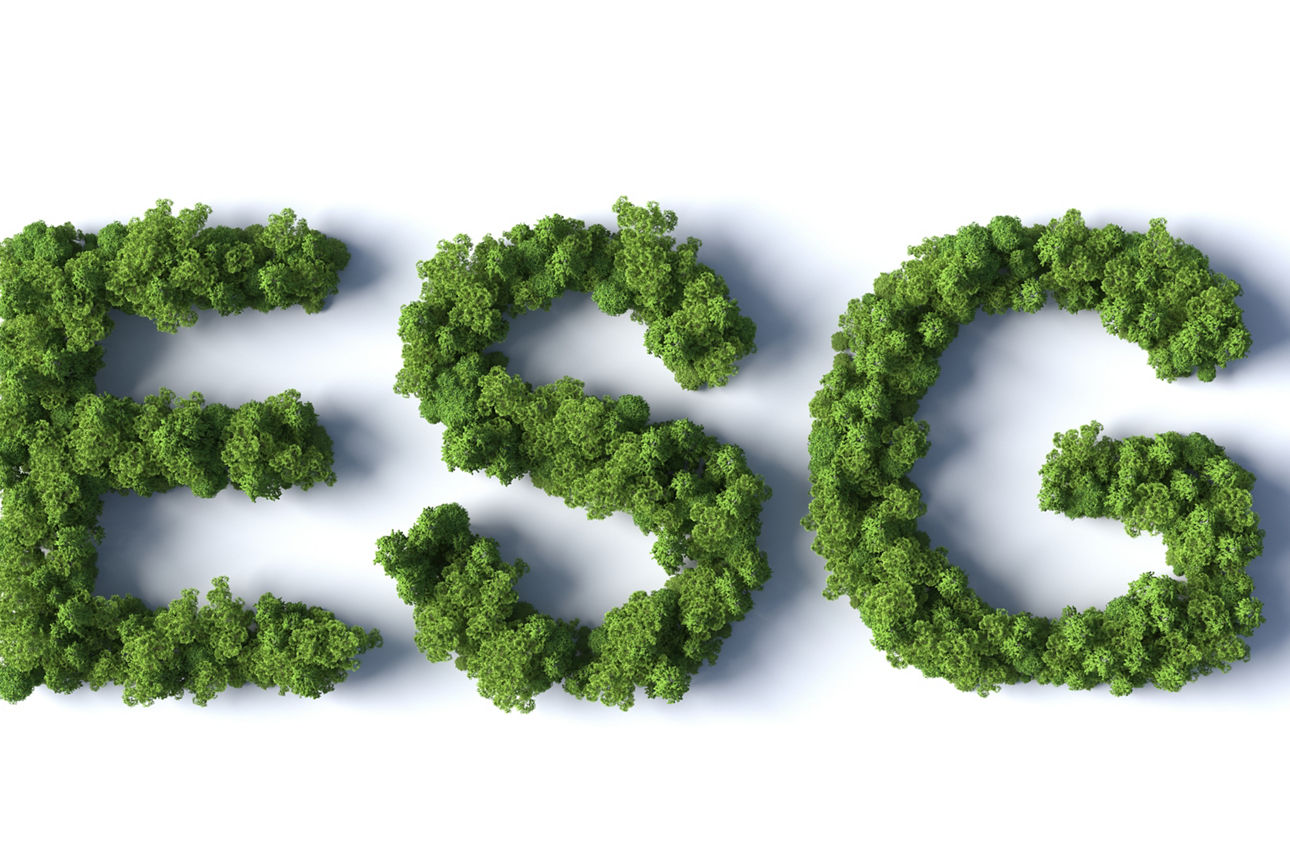 3d Forest letters ESG on white background