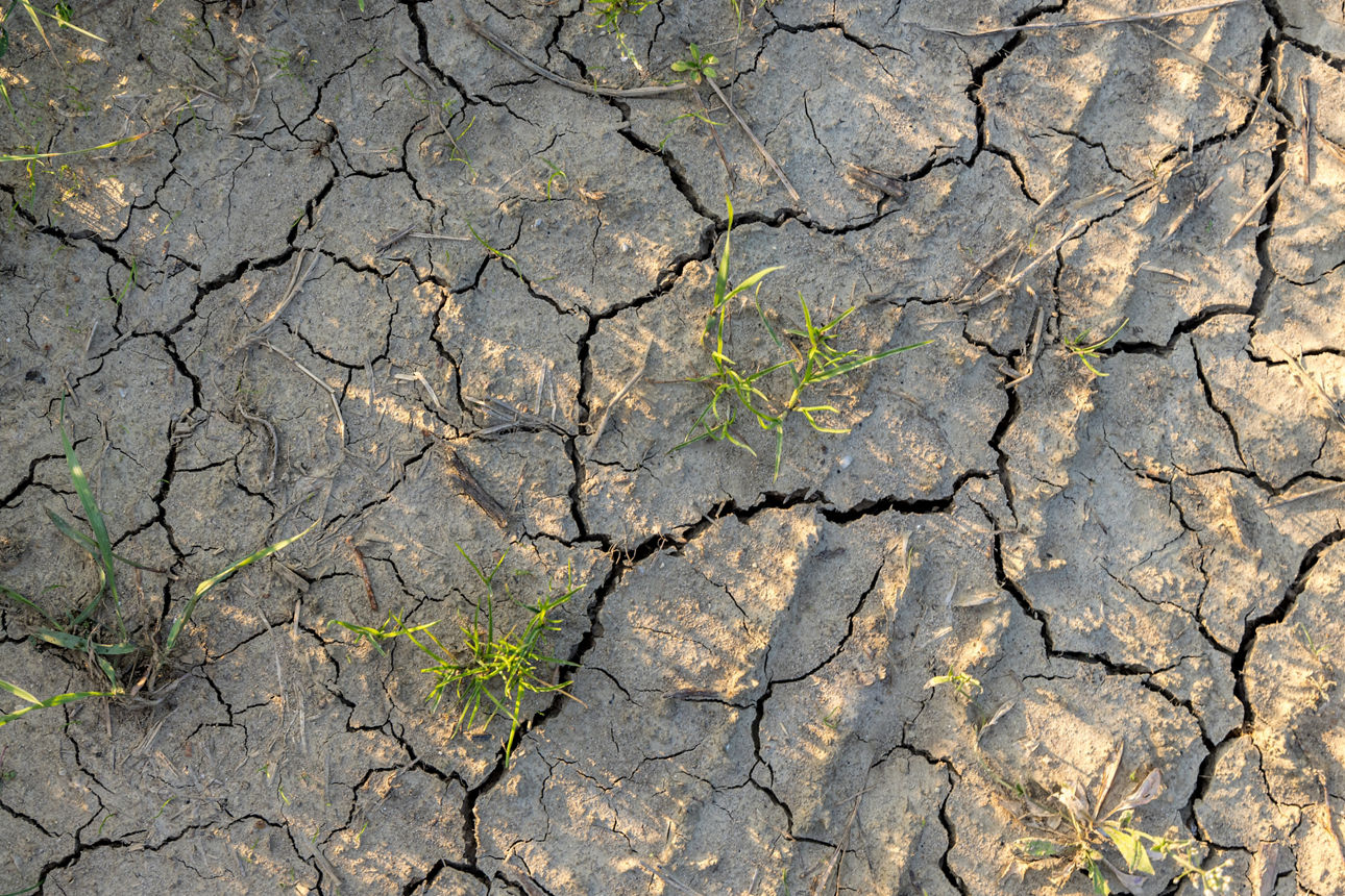 Trockener Boden