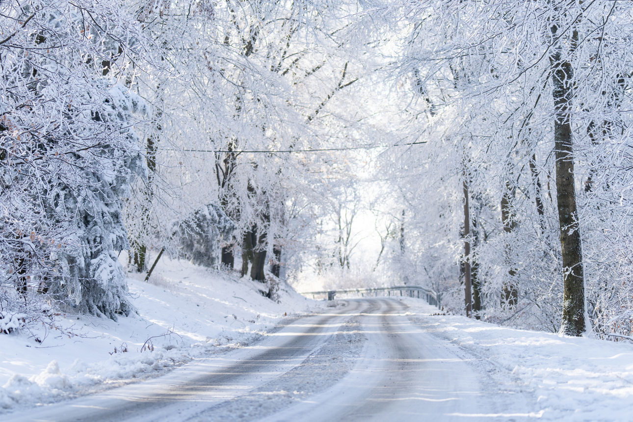 Eine mit Schnee bedeckte Waldstraße
