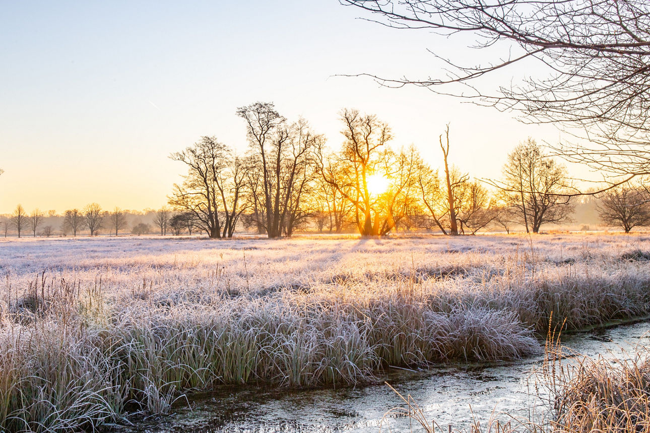Winter landscape in frost at sunrise. Meadow and standing water in winter with ice crystals and warm colors in the sunlight. Nature reserve and open spaces at Frankfurt Airport, Hesse.