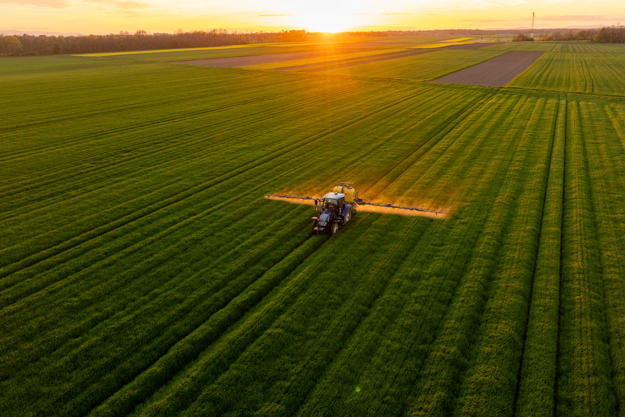 Traktor auf einem grünen landwirtschaftlichen Feld während des goldenen Sonnenuntergangs