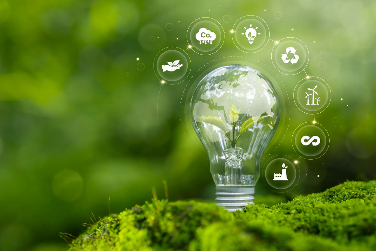Sustainable Environment concept.