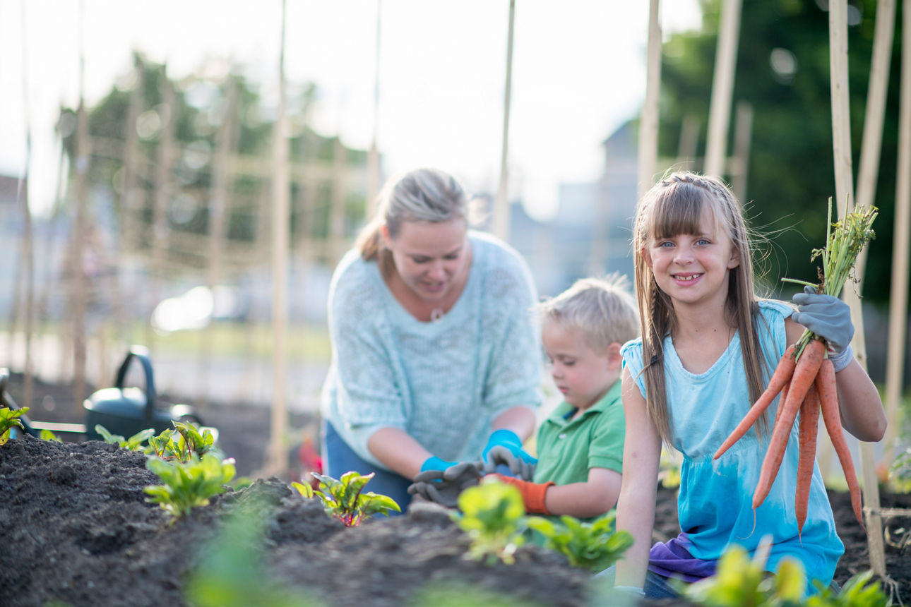 Eine Mutter bringt ihren Kindern bei, in einem Garten Gemüse und Blumen anzupflanzen. Die Tochter hält stolz einen Bund Karotten in Händen.