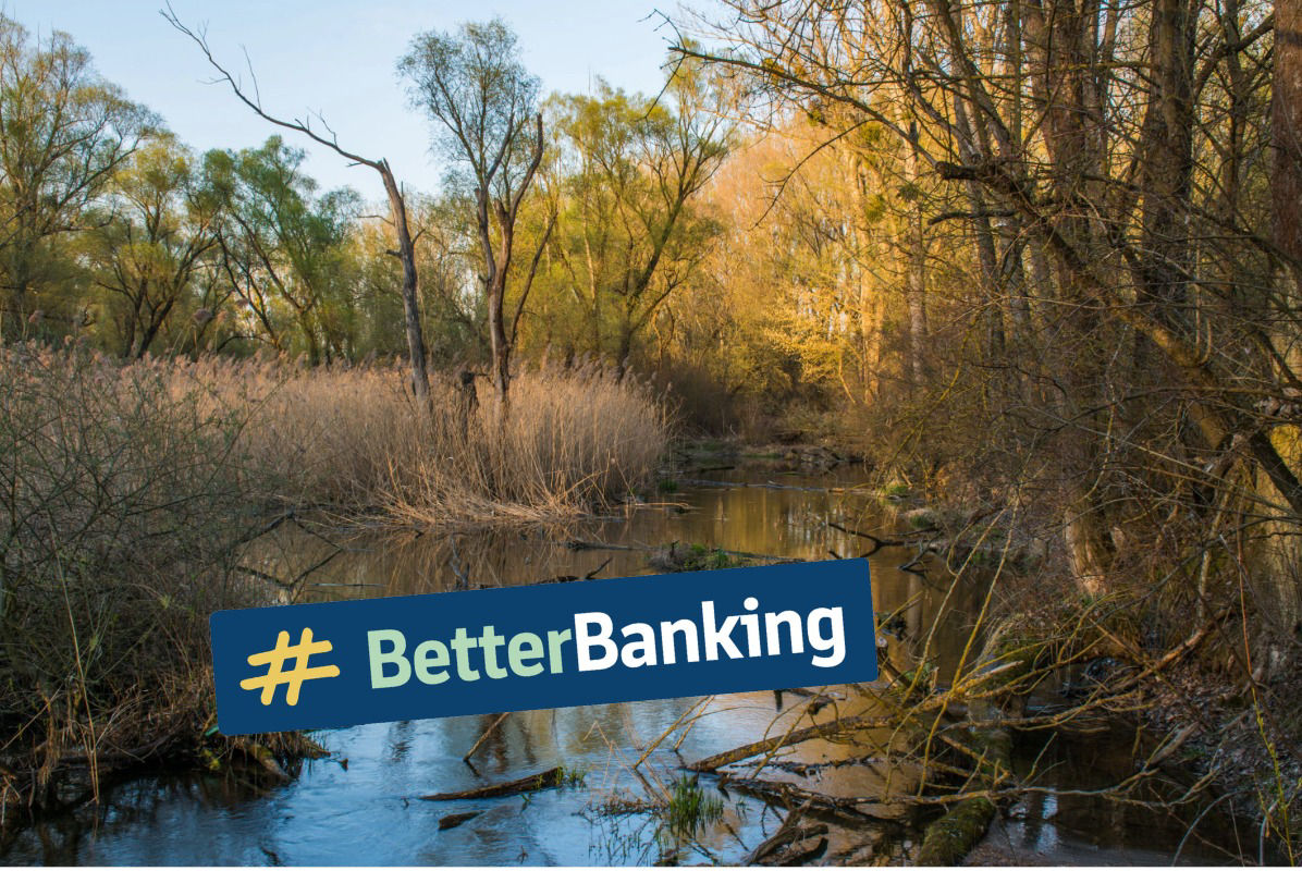 Ein Moor mit dem Text #BetterBanking mit blau hinterlegt
