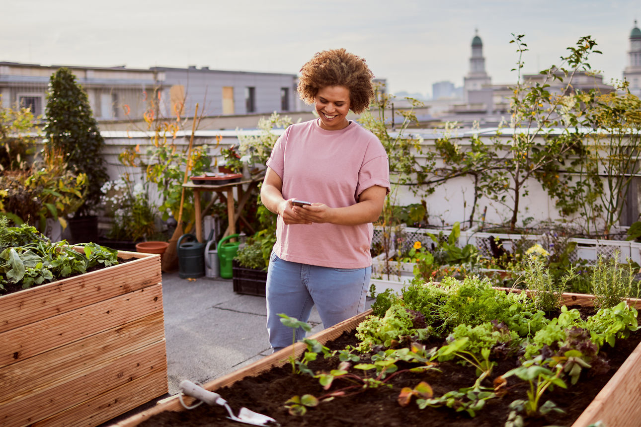 Eine Frau steht auf einer Dachterrasse umgeben von Hochbeete und blickt auf ihr Smartphone