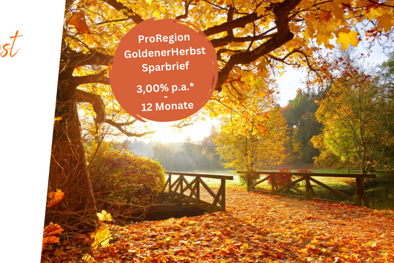 Bild mit herbstlicher Landschaft und den Informationen zum 12 mtl. Sparbrief
