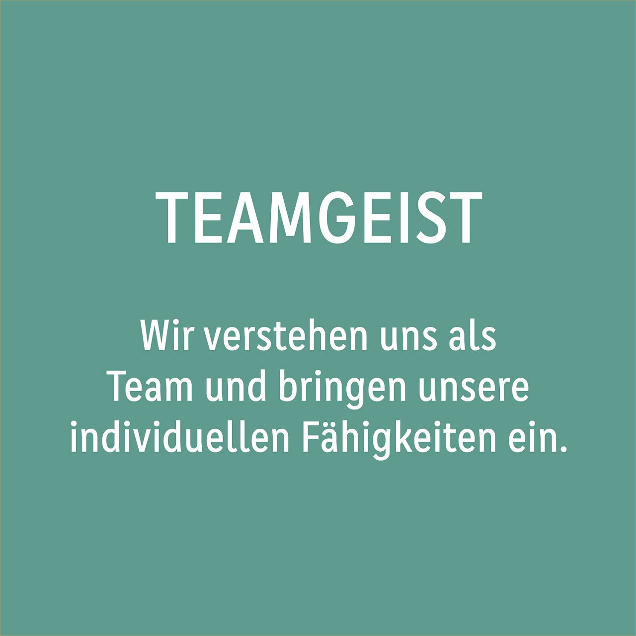 Teamgeist: Wir verstehen uns als Team und bringen unsere individuellen Fähigkeiten ein.