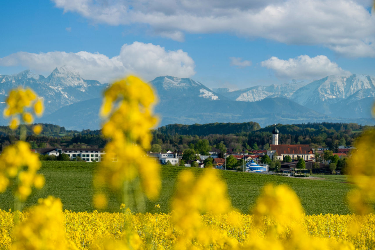 Landschaftsbild Grafing