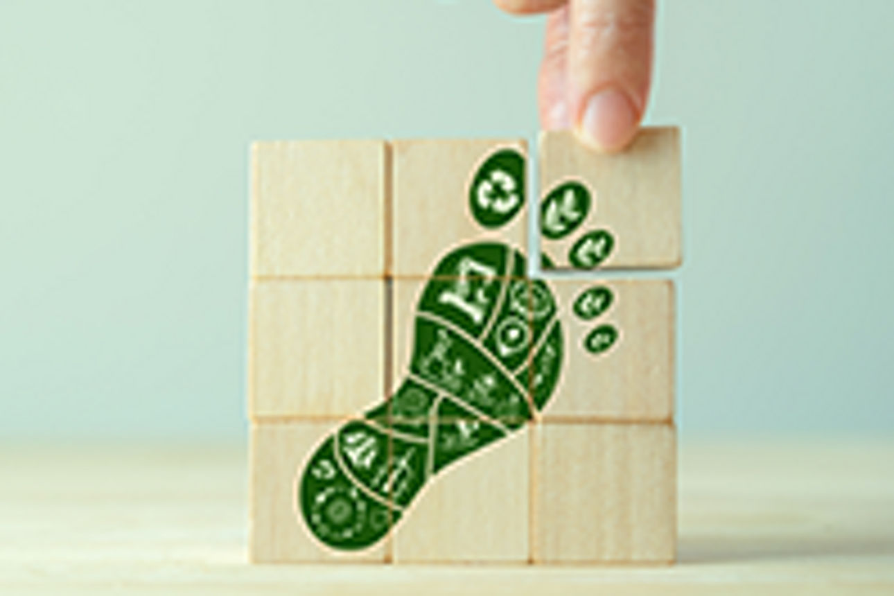 Grüner Fußabdruck Puzzle Holz