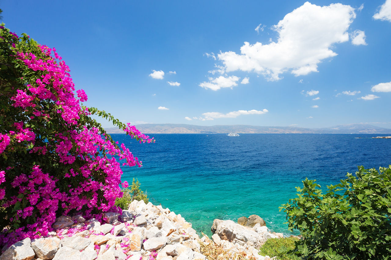 Mediterranean landscape. Blue sky and clear waters with beautiful flowers in foreground