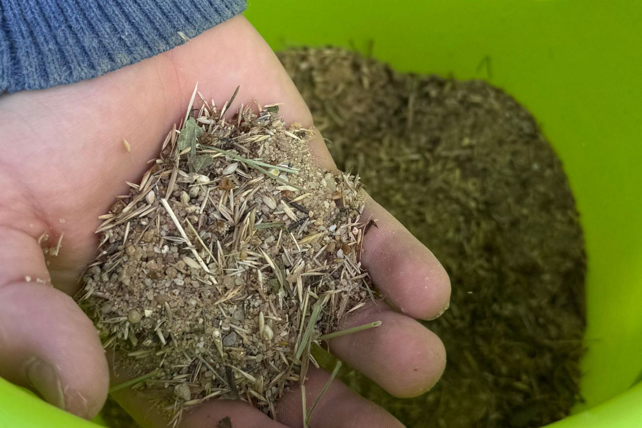 Grundschüler säen eine weitere Blühwiese am Klärwerk in Biberach aus