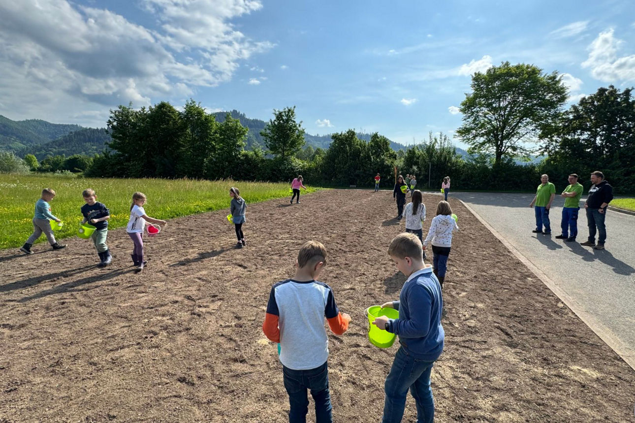 Grundschüler säen eine weitere Blühwiese am Klärwerk in Biberach aus