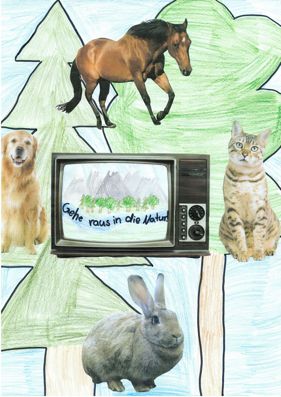 Fernseher mit Bäumen und Tieren darum