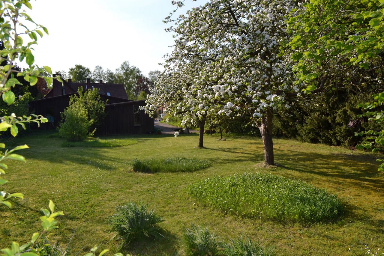 Grundstück des Wohnprojektes