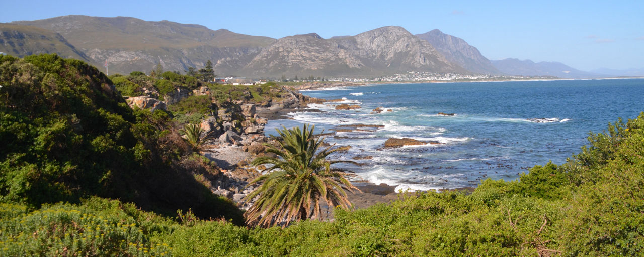 Eine wunderschöne Landschaft mit Palmen, Strand, Meer und im Hintergrund sieht man Berge