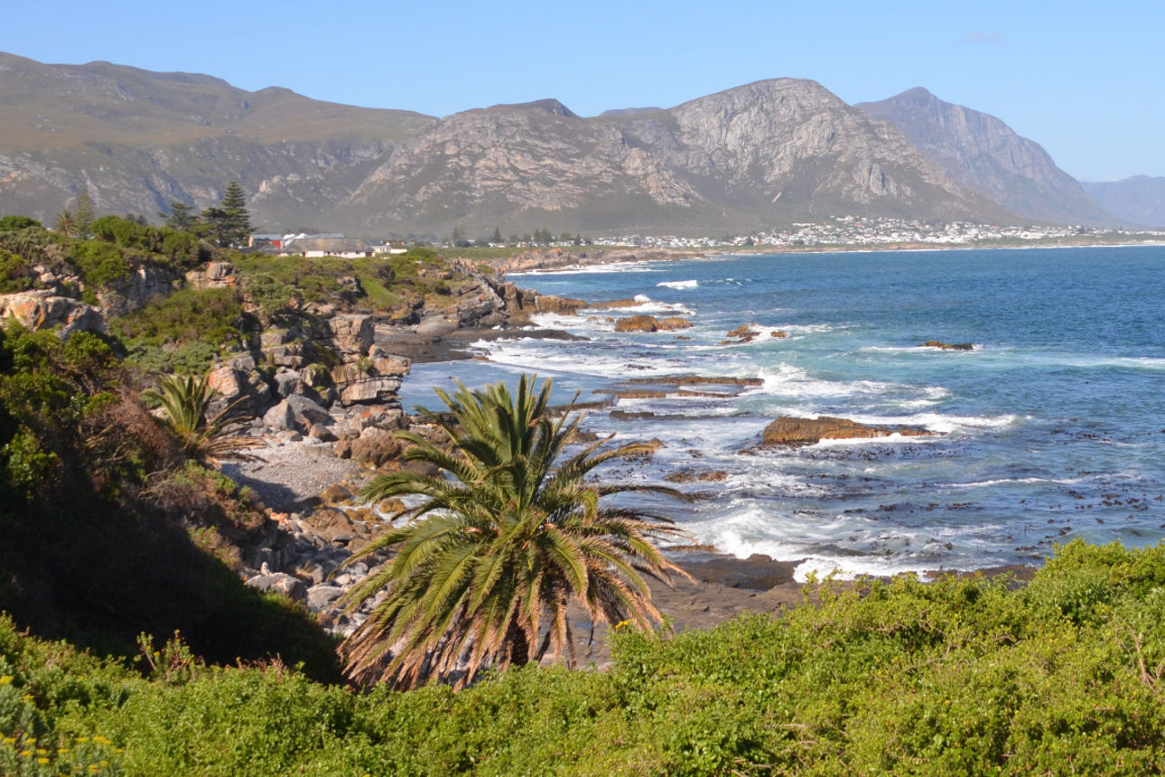 Eine wunderschöne Landschaft mit Palmen, Strand, Meer und im Hintergrund sieht man Berge