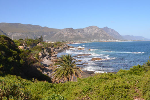 Eine wunderschöne Landschaft mit Palmen, Strand, Meer und im Hintergrund sieht man Berge