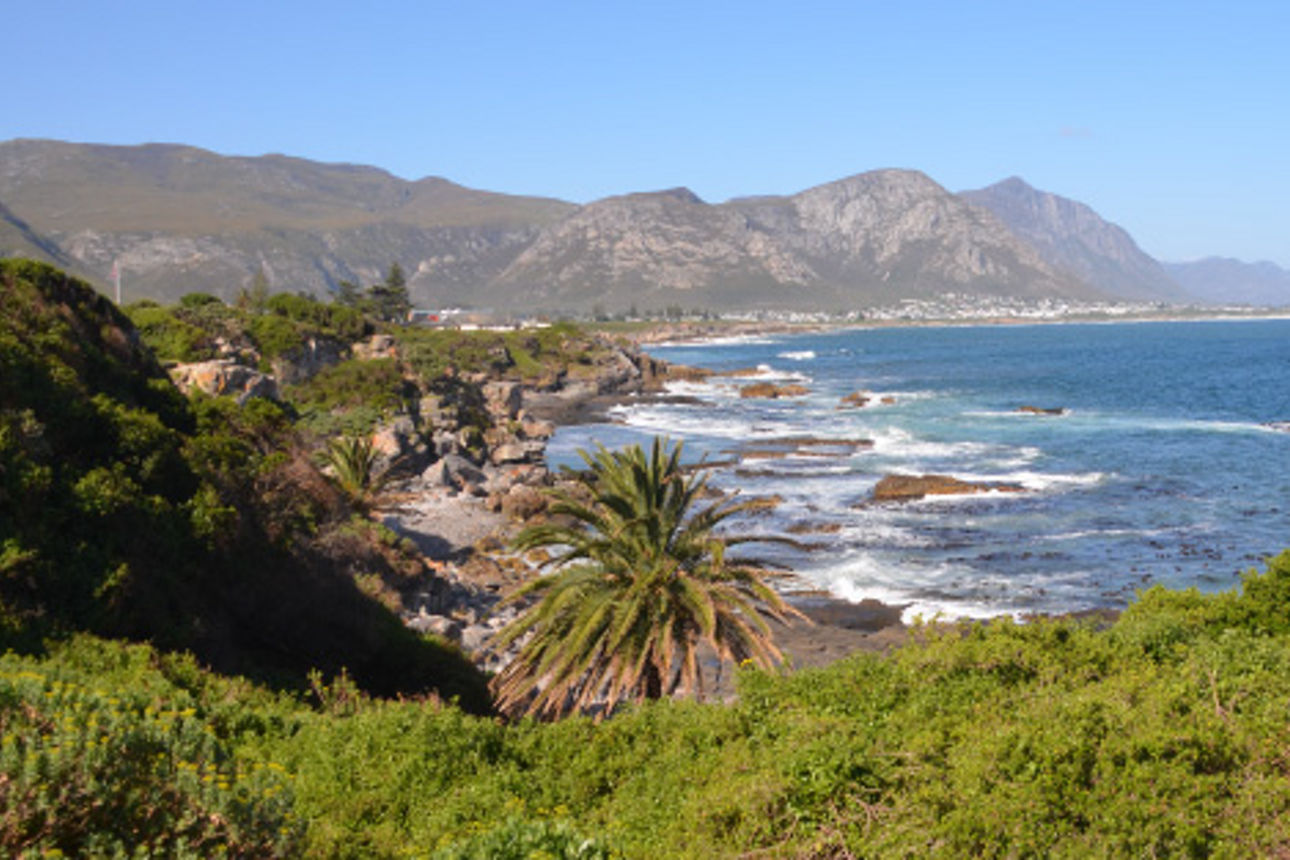 Eine wunderschöne Landschaft mit Palmen, Strand, Meer und im Hintergrund sieht man Berge