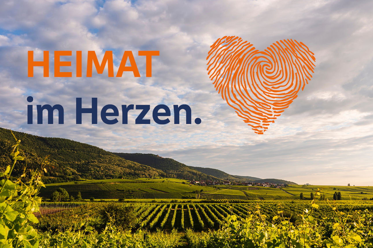 Luftaufnahme einer hügeligen Landschaft mit Wäldern, Feldern und blauem Himmel im Hintergrund