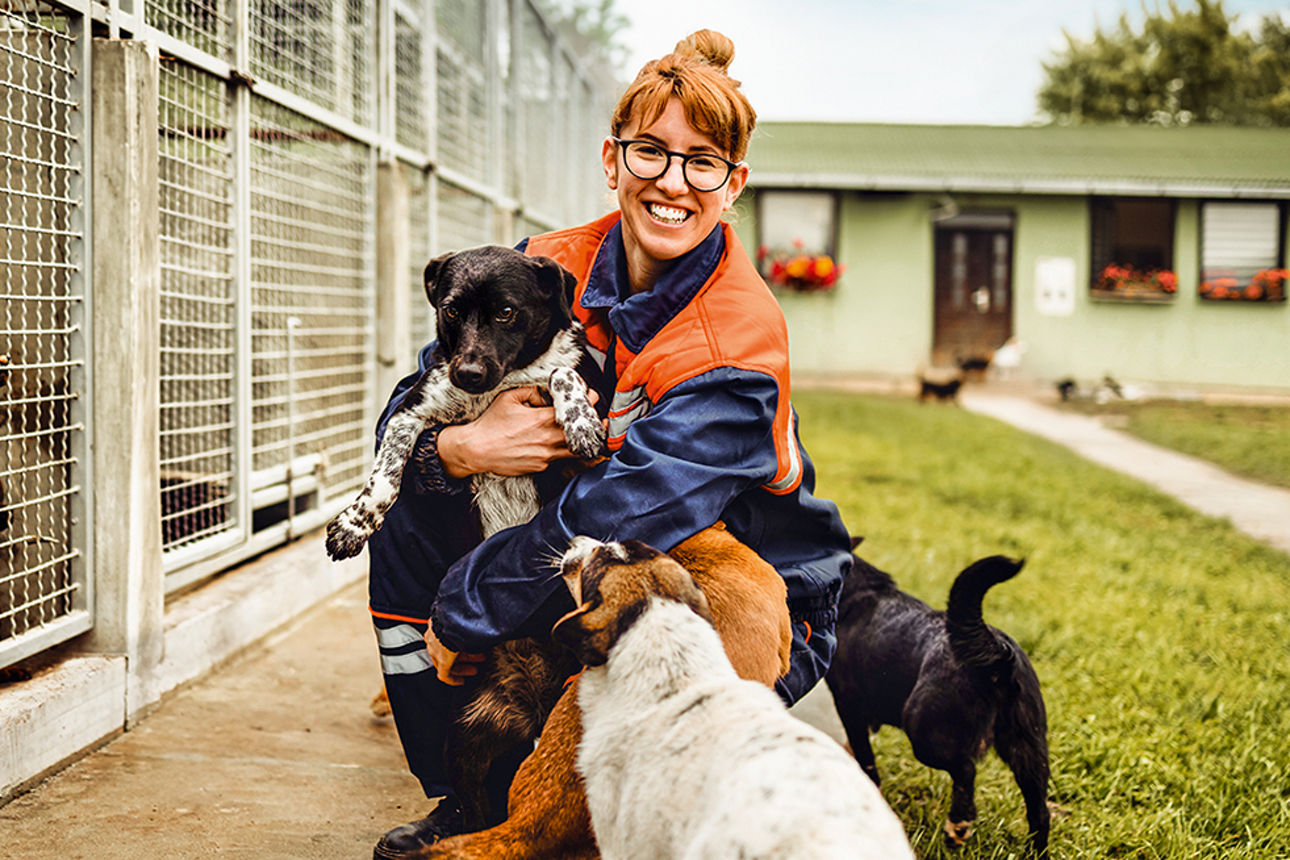 Young adult woman working and playing with dogs in animal shelter