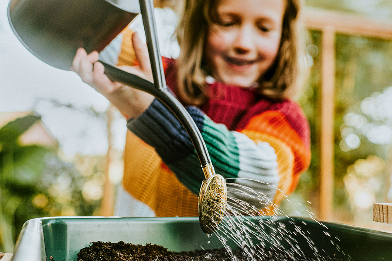 A happy, smiling child pours water from a watering can onto a seedling tray. She is photographed through a greenhouse window. Focus is on the pour spout as the water sprinkles gently over the seeds and soil. The environment is sunny and warm, and the scene is happy and carefree.