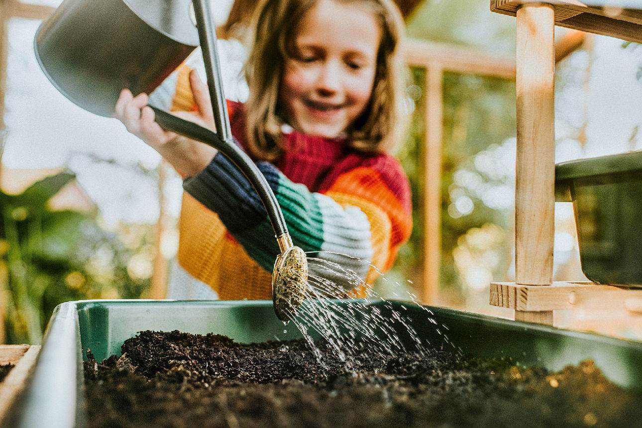 A happy, smiling child pours water from a watering can onto a seedling tray. She is photographed through a greenhouse window. Focus is on the pour spout as the water sprinkles gently over the seeds and soil. The environment is sunny and warm, and the scene is happy and carefree.