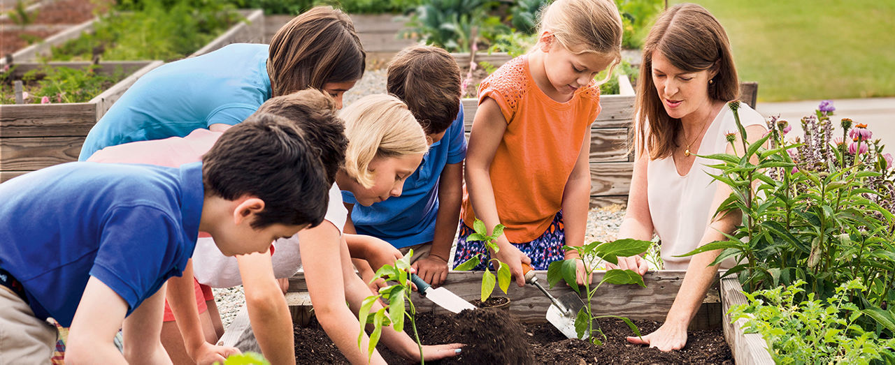 Teacher and students gardening in raised bed