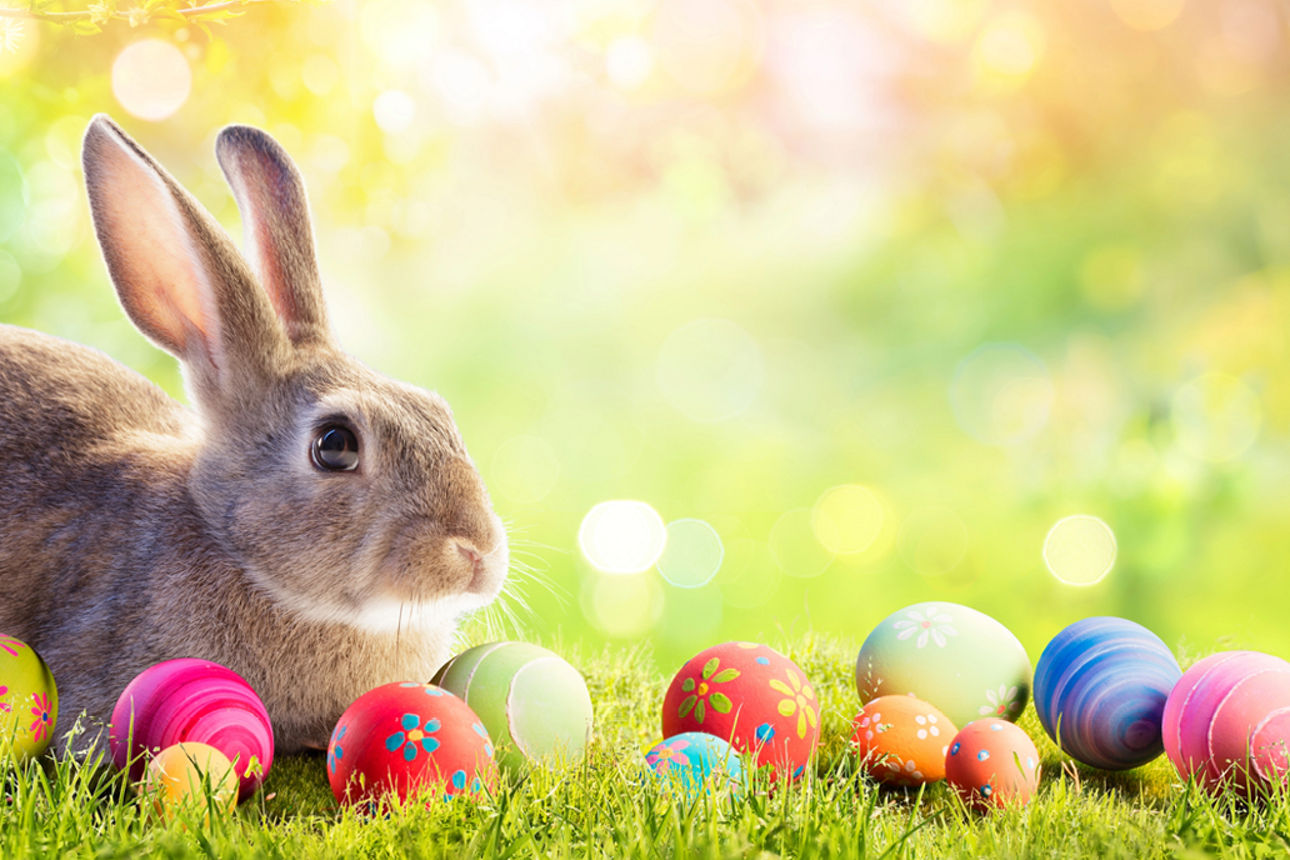 Eine Frau färbt mit zwei kleinen Kindern Ostereier.
