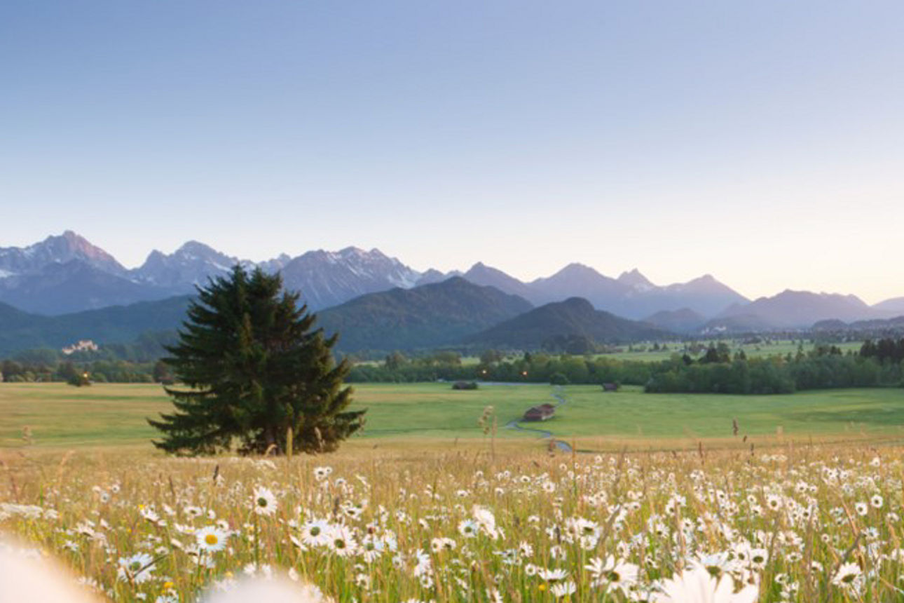 Landschaftsbild vom Allgäu mit Bergen und Sonnenstrahlen im Hintergrund