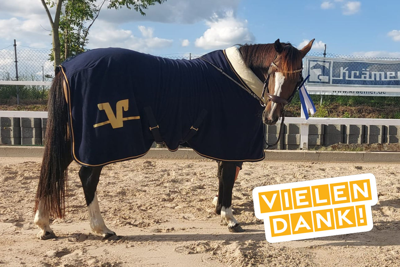 Pferd mit Decke steht auf dem Platz