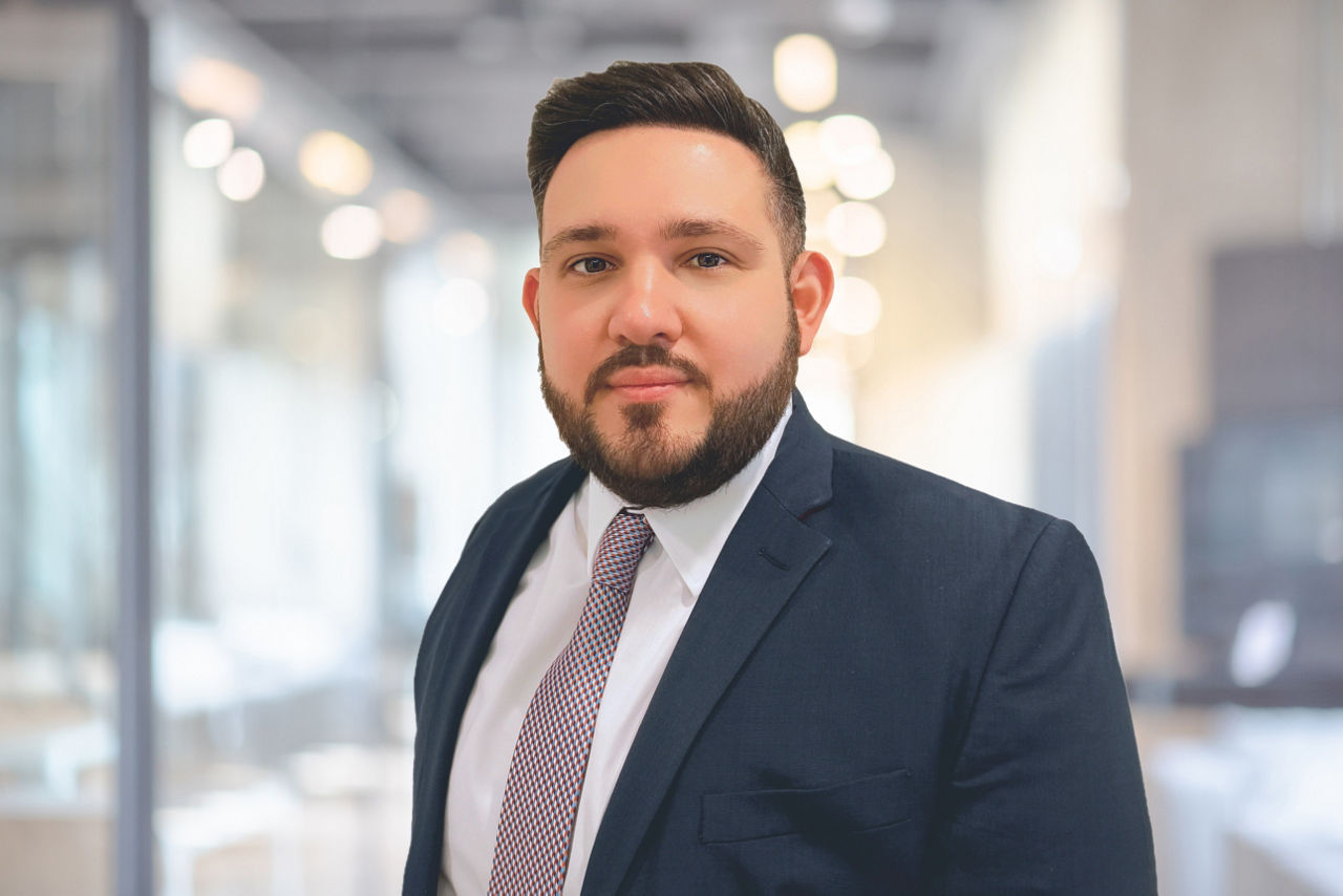 Portrait Hamza Hamzaoglu
