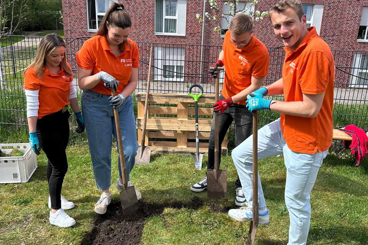 Vier Personen schaffen Platz für ein Hochbeet.