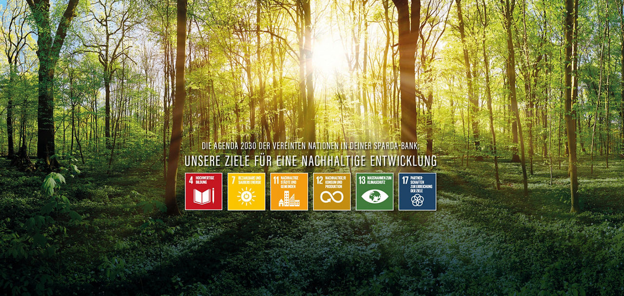 Ein Wald mit Sonne im Hintergrund, vorne verschiedene Icons zu den Nachhaltigkeitszielen