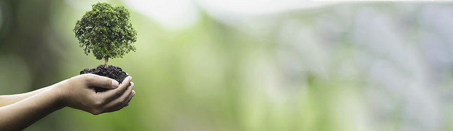 Header-KombiStar-Nachhaltigkeit