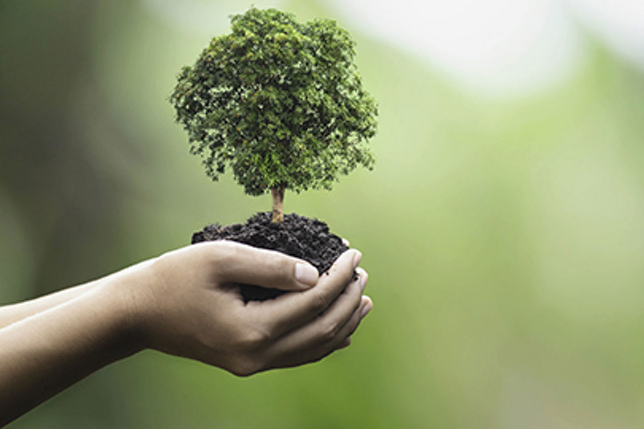 Header-KombiStar-Nachhaltigkeit