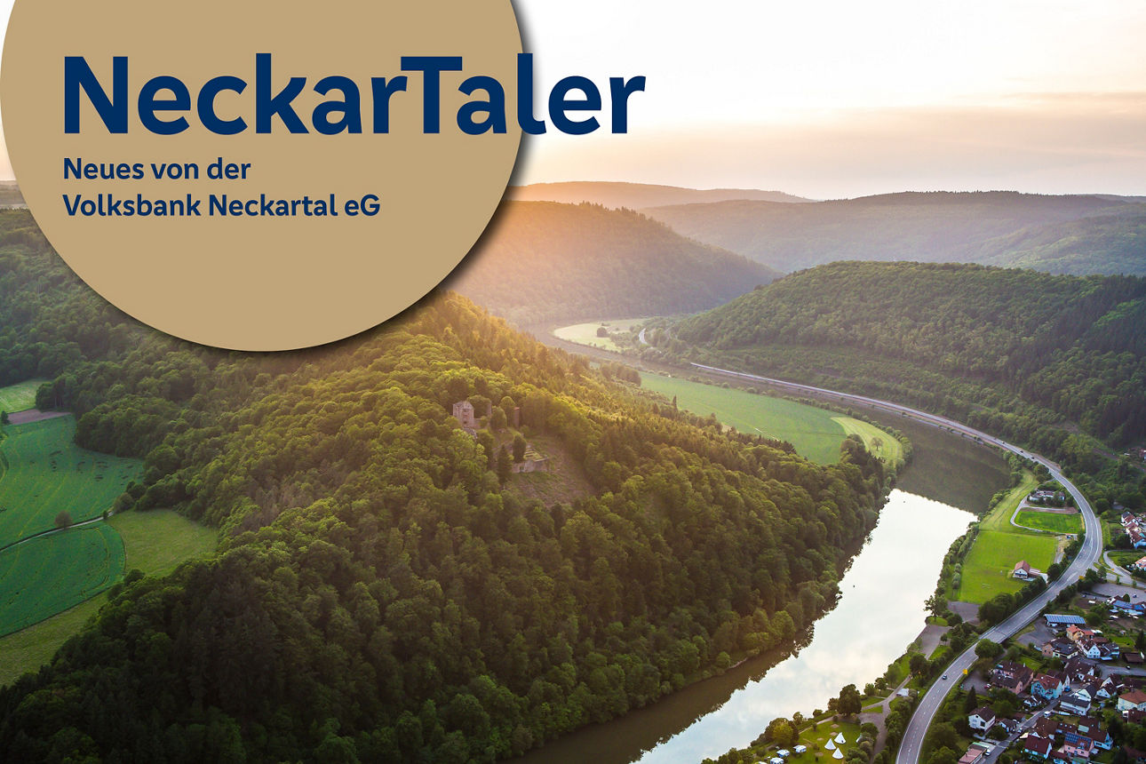 Blick ins Neckartal