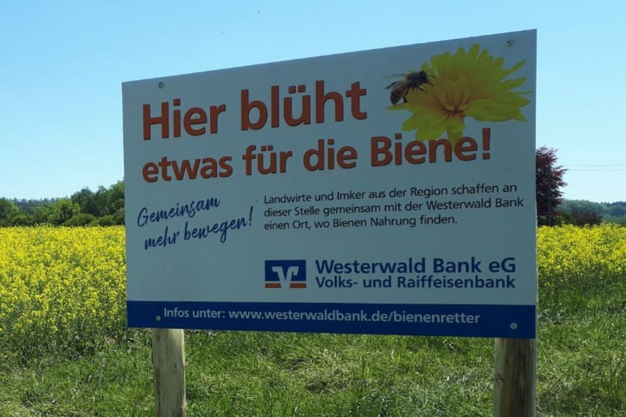 Das Bild zeigt einen Blühstreifen, den Landwirte und Imker in Zusammenarbeit mit der Westerwald Bank angelegt haben.
