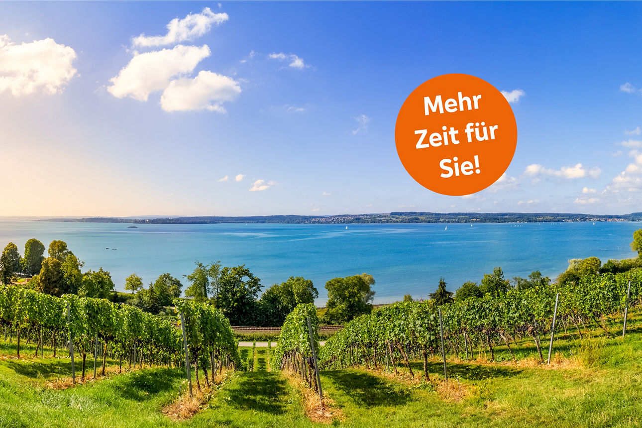 Panoramablick über Weinberge auf den Bodensee