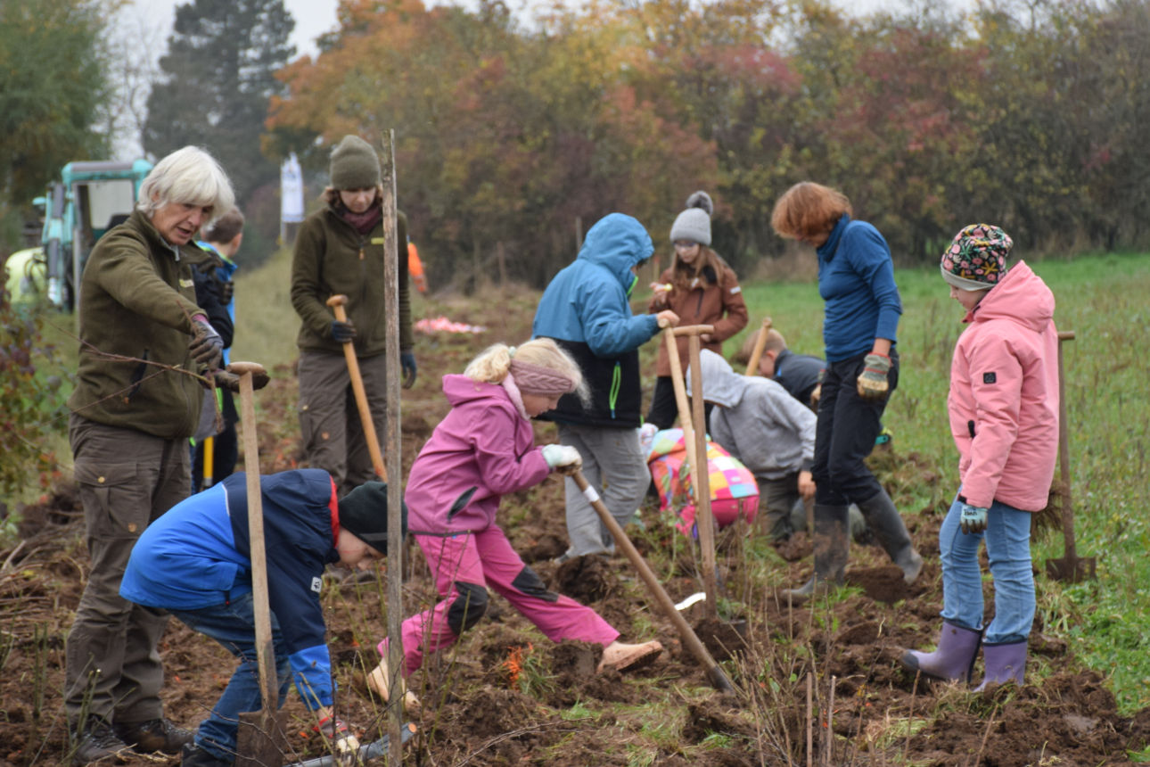 Kinder graben und pflanzen Bäume mit Erwachsenen