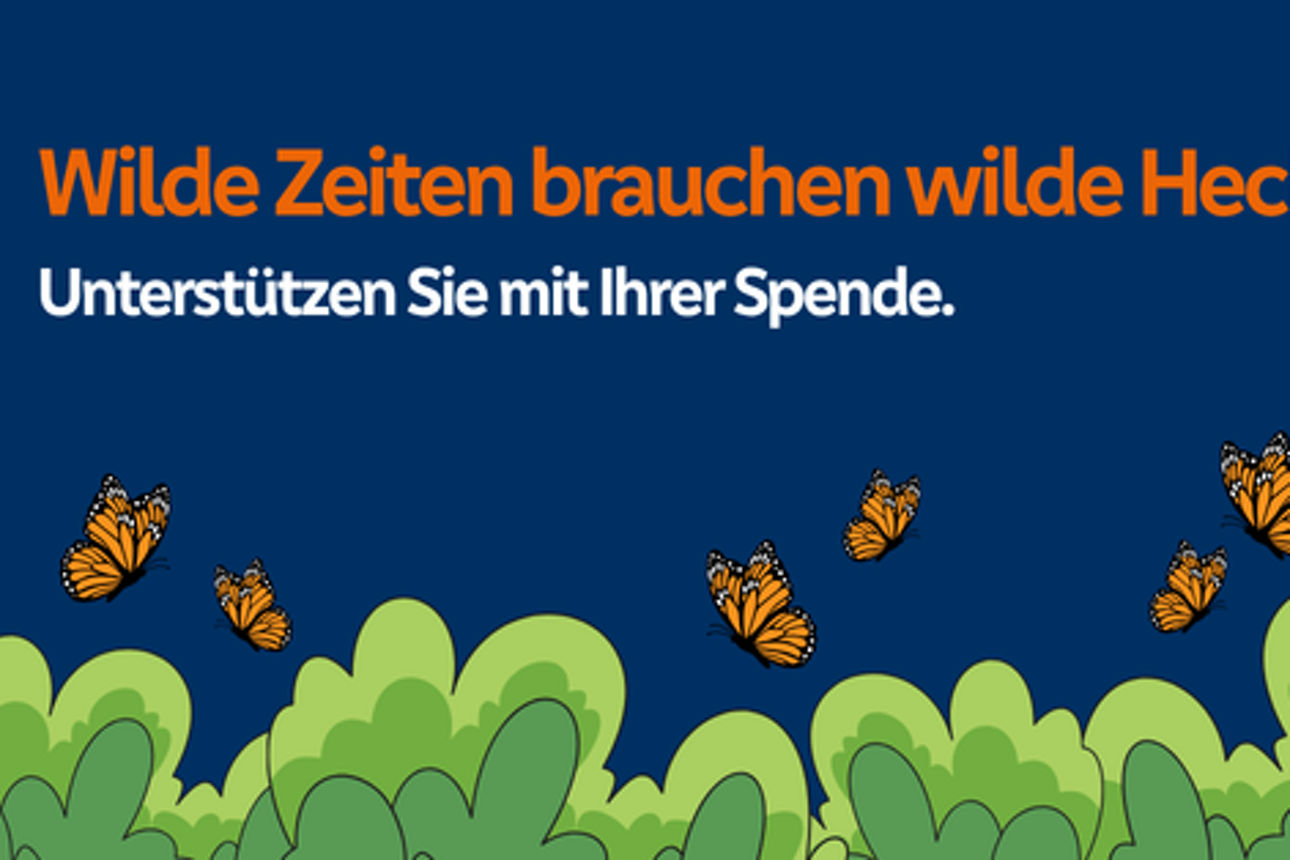 Grafik mit blauem Hintergrund, grüner Hecke und Schmetterlinken mit Schrift "Wilde Zeiten brauchen wilde Hecken."