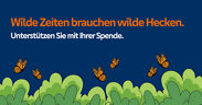 Grafik mit blauem Hintergrund, grüner Hecke und Schmetterlinken mit Schrift "Wilde Zeiten brauchen wilde Hecken."