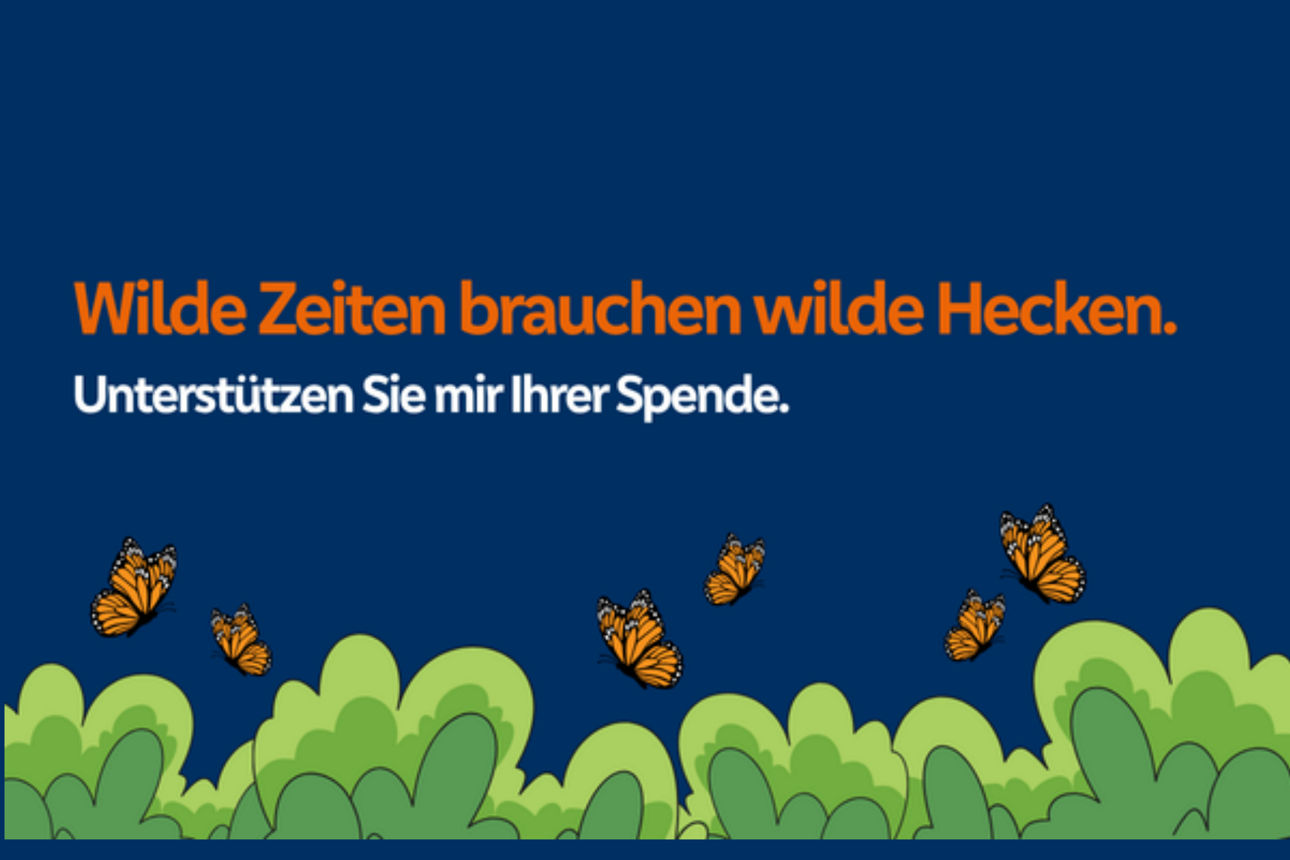 Grafik mit blauem Hintergrund, grüner Hecke und Schmetterlinken mit Schrift "Wilde Zeiten brauchen wilde Hecken."