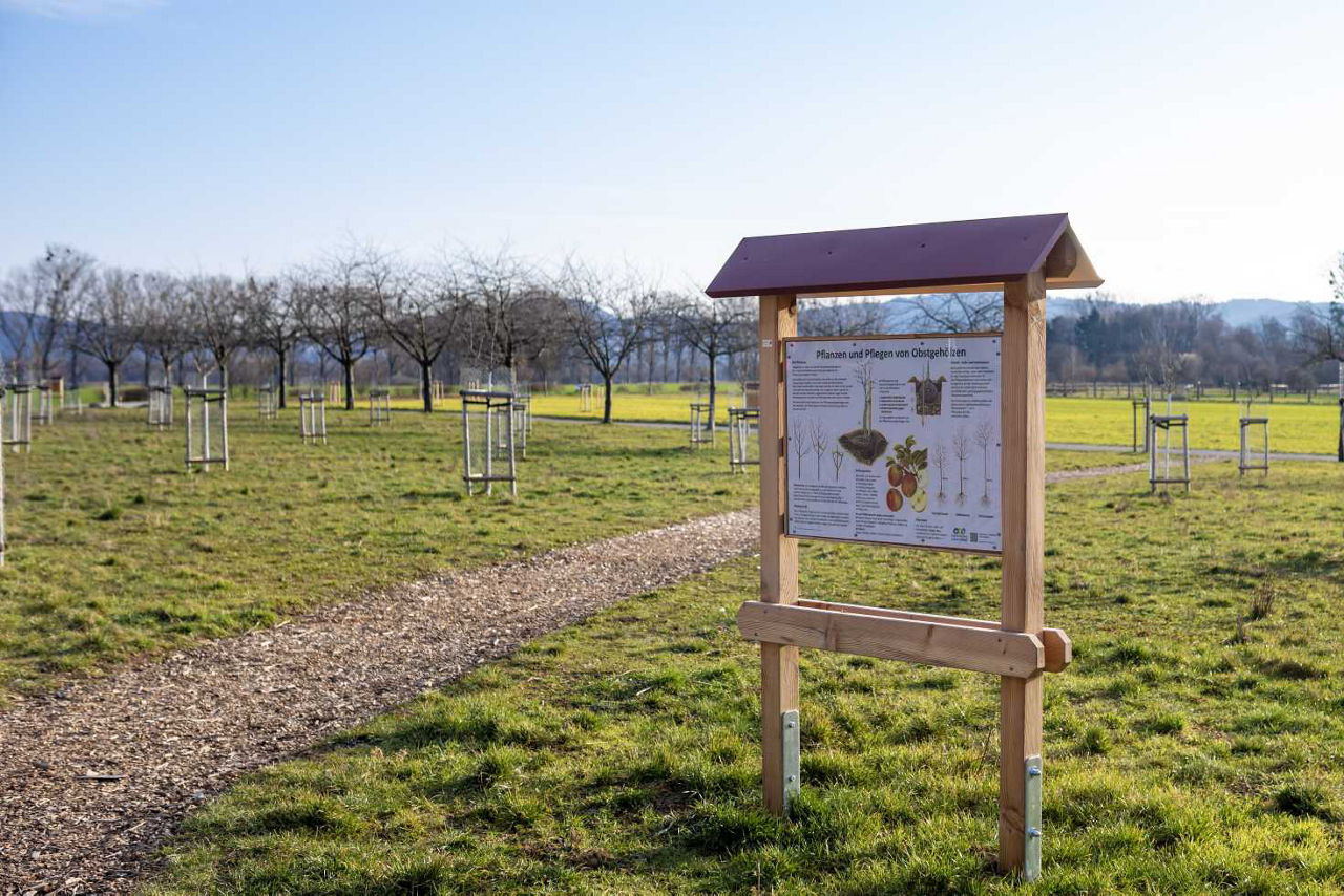 Mann und Tochter schauen sich auf der Wiese Pfalnzen an