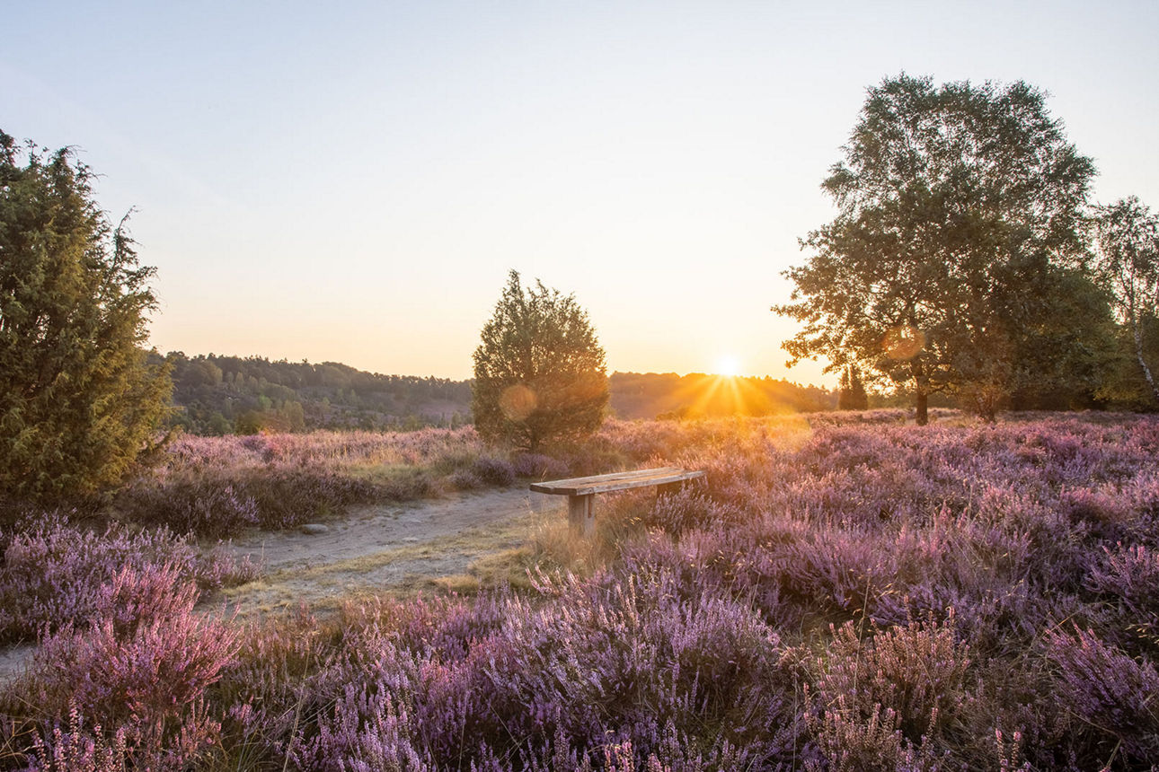 Sonnenuntergang in der Heide