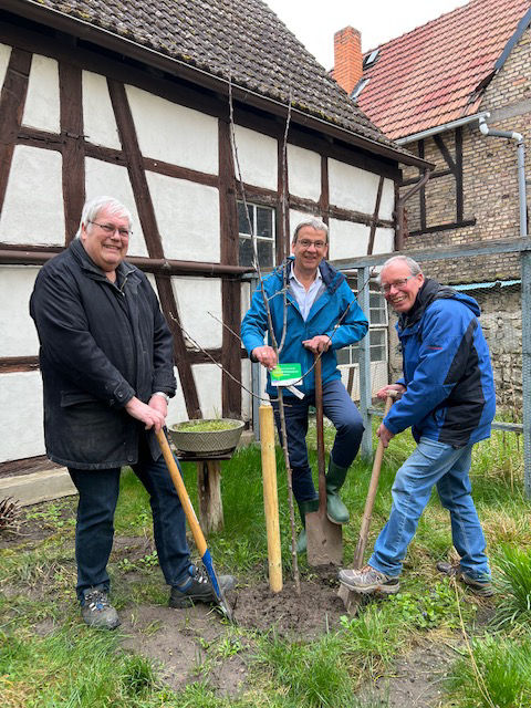 Herr Haas pflanzt mit Heimat- und Verkersverein Ginsheim eV einen Baum