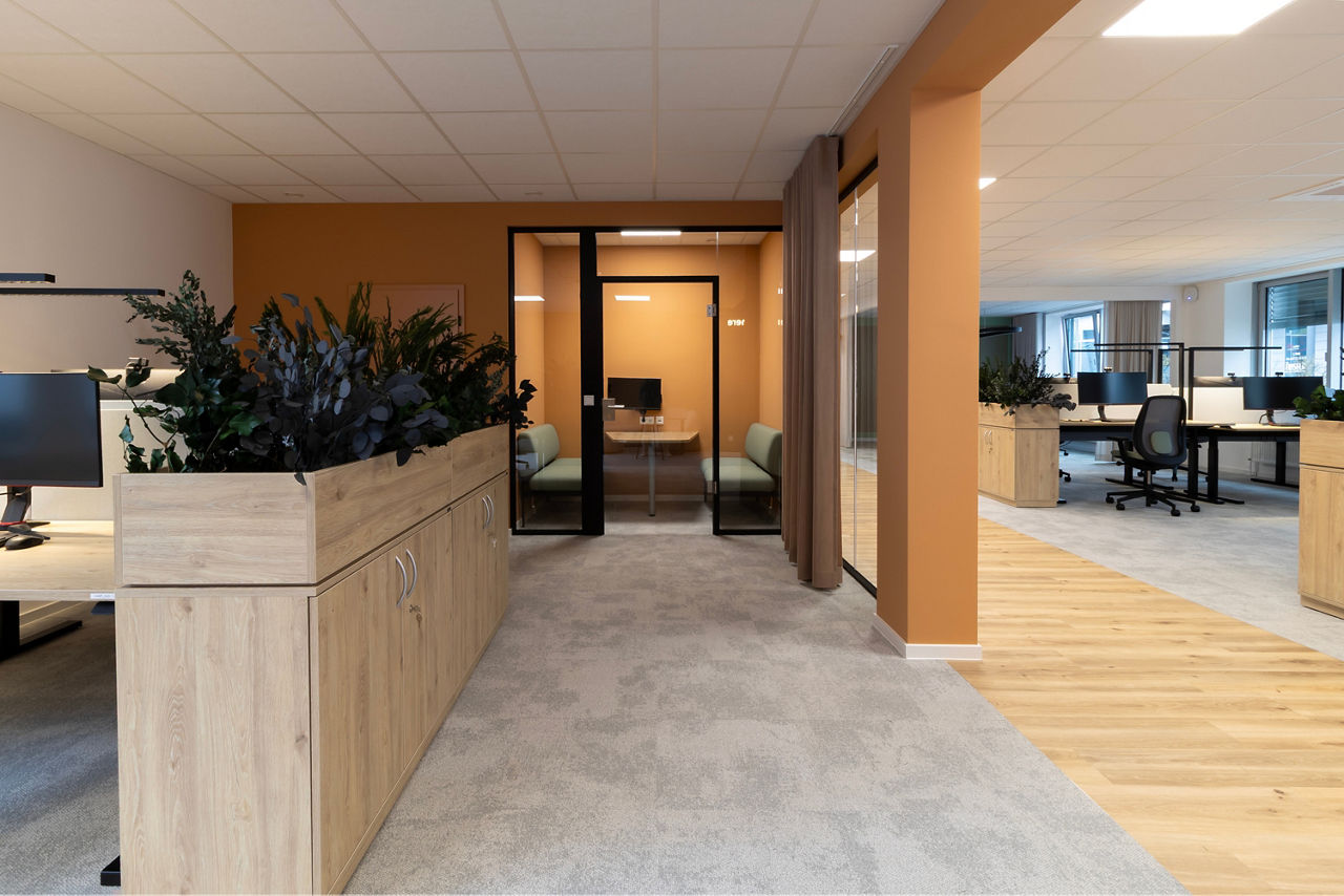 Büroflur mit Holzmöbeln, Pflanzen und Glaswand zu einem Besprechungsraum