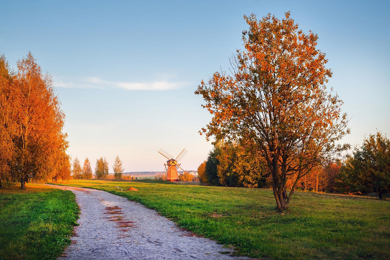 Herbstlicher Feldweg mit einer Windmühle im Hintergrund.