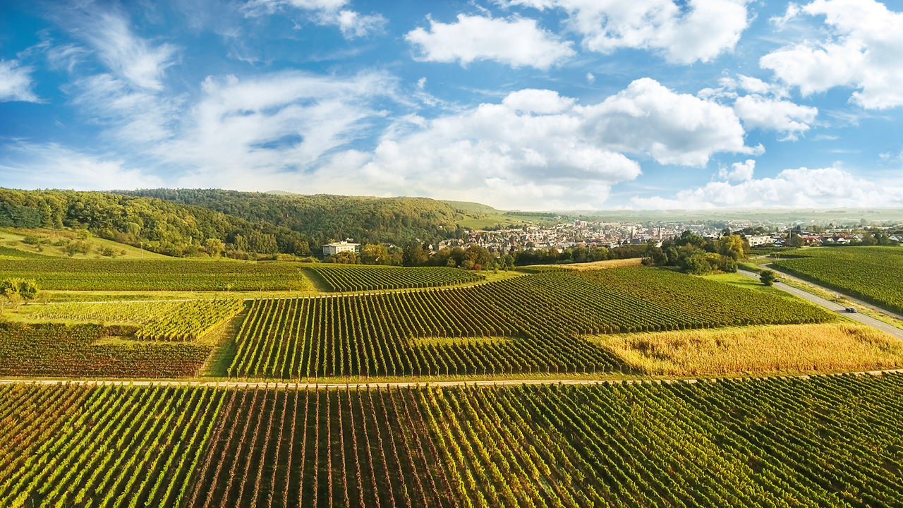 Luftaufnahme von Weinbergen in ländlicher Gegend mit Hügeln, Dorf und bewölktem Himmel