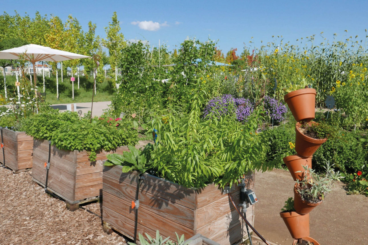 verschiedene Beete, die an einem Bewässerungssystem angeschlossen sind. 